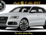 IDENTIFICACIÓN AUDI Q5 TFSI R8 AÑO&nbsp;2013