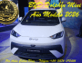 BYD DOLPHIN MINI AÑO MODELO&nbsp;2026